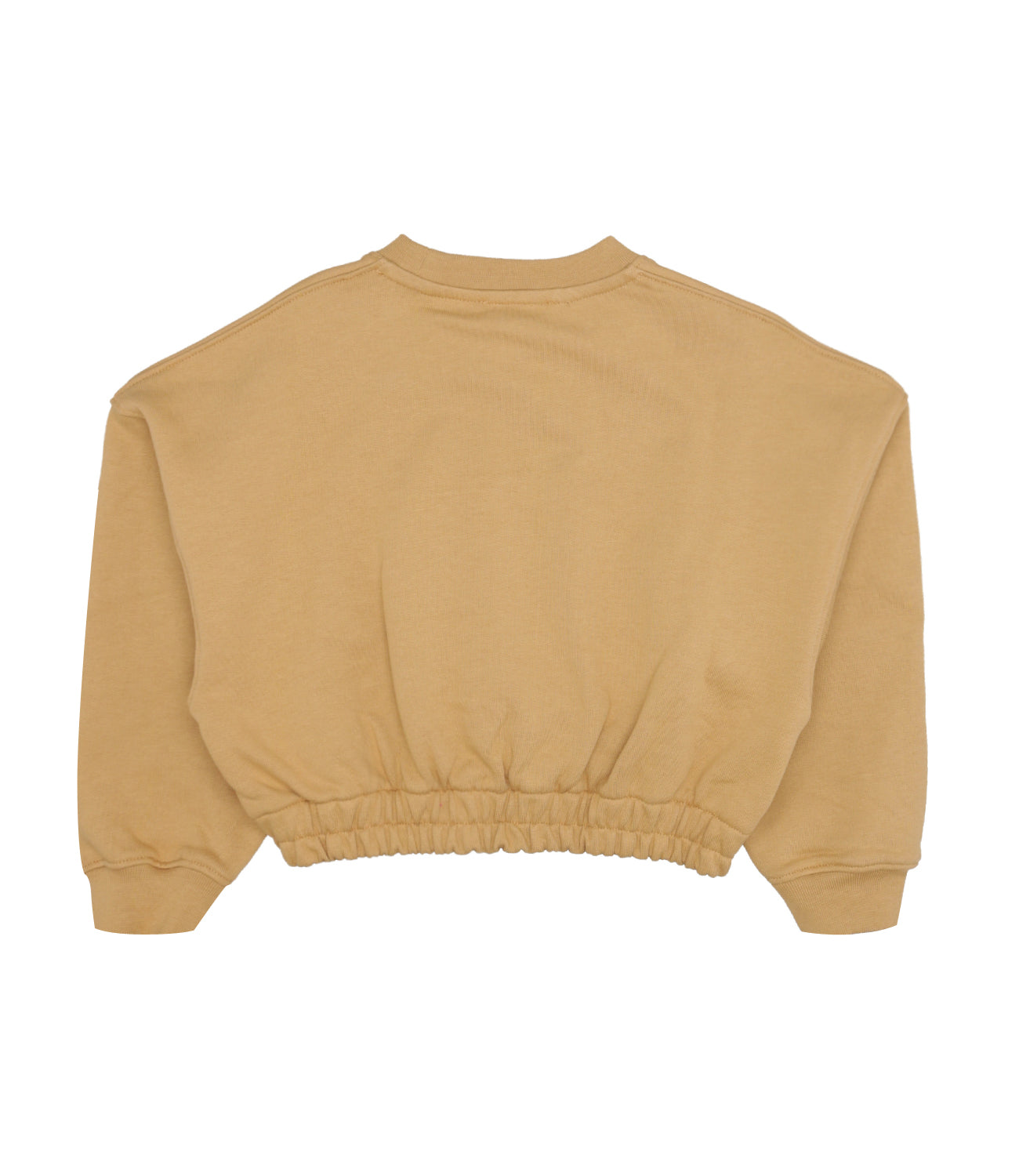 Dondup Junior | Sweatshirt Curry