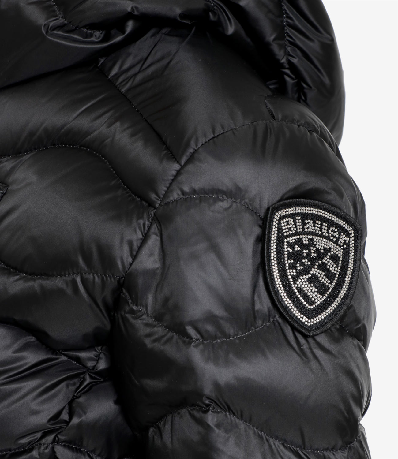 Blauer | Piumino Camelia Nero e Celeste