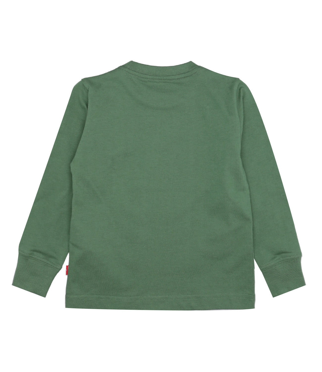 Levis Kids | T-Shirt Green