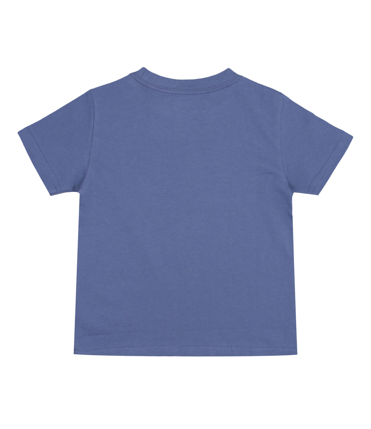 Ralph Lauren Childrenswear | Light Blue T-Shirt