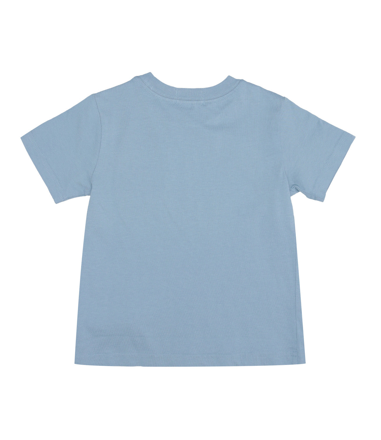 Ralph Lauren Childrenswear | Light Blue T-Shirt