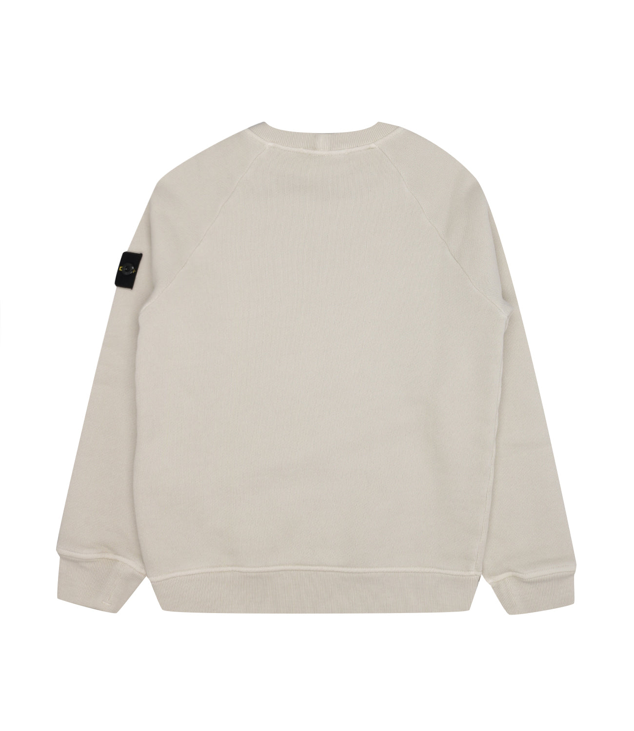 Stone Island Junior | Sweatshirt Ice