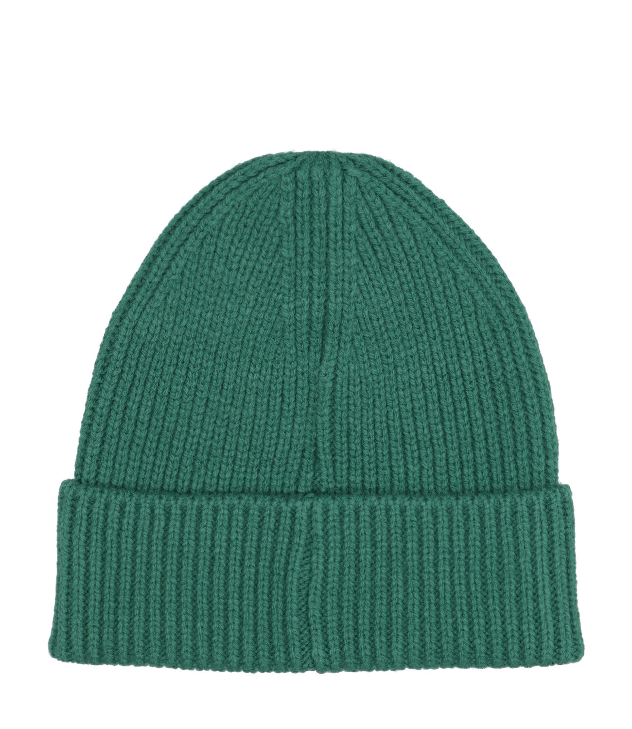 The North Face | TNF Logo Box Cuffed Hat Green