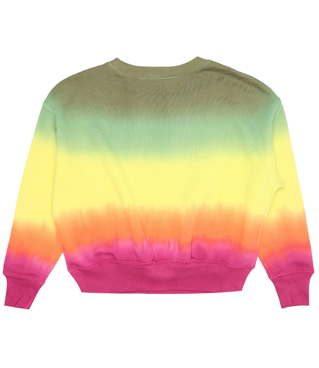 Ralph Lauren Childrenswear | Sweatshirt Multicolor