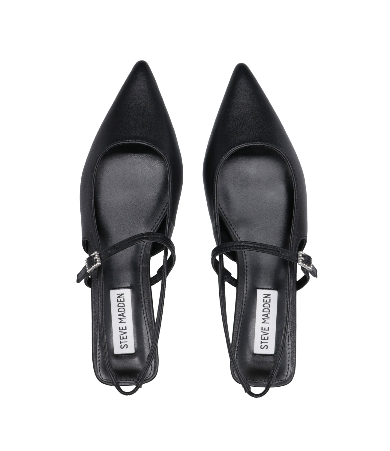 Steve Madden | Sandalwood Black