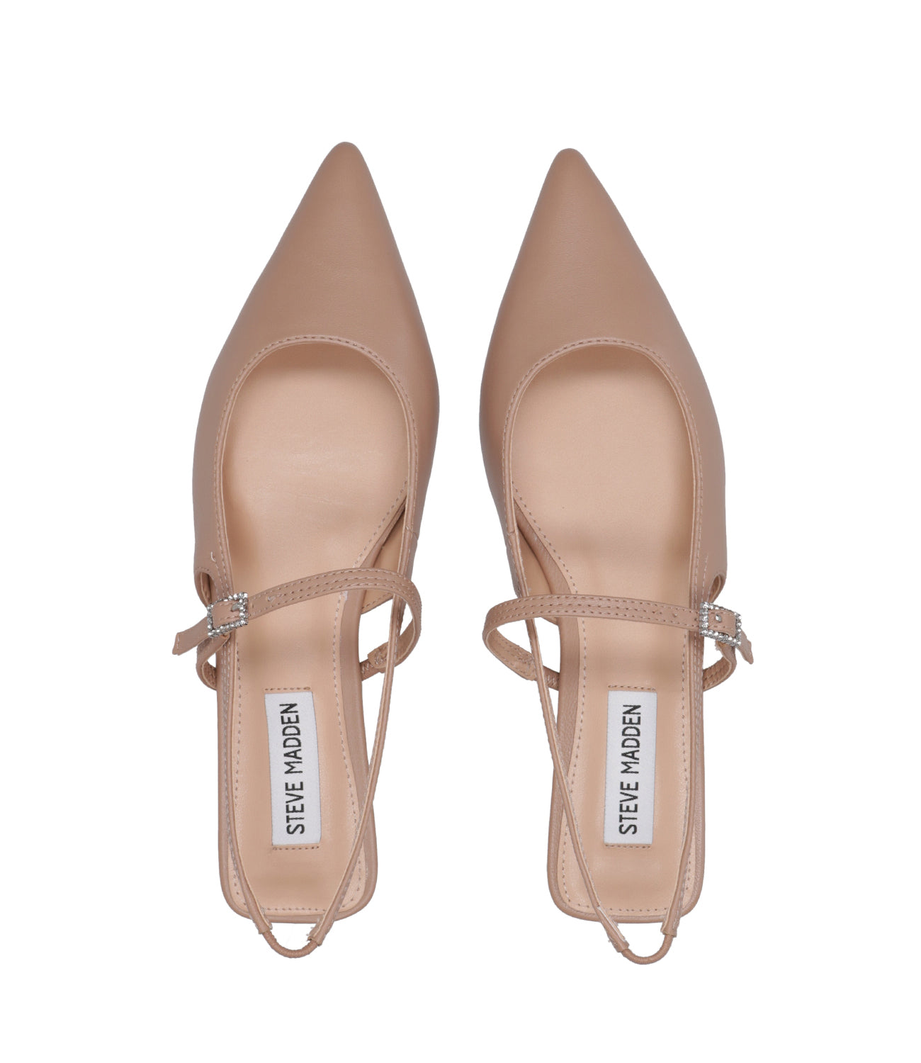 Steve Madden | Sandalwood Nude